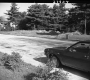 Car on Paved Road
