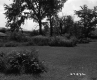 Van Nostrand Property, Lawn