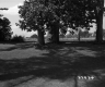Van Nostrand Property, Front Lawn