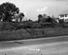 Houses by Road