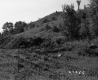 Grassy Hill
