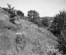 Grassy Hill