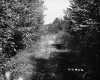 Forest Road