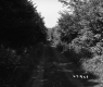 Forest Road