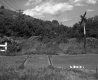 Train Tracks