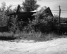 House behind Plants