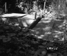 Building Materials in Forest