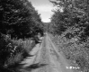 Dirt Road