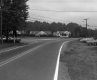 Fork in Paved Road