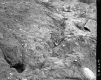 Top of Slope of Rock Cut in Lyndon
