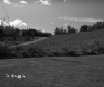 Rural Road with Hilly Landscape