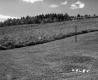 Grassy Landscape with Dwelling