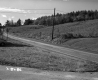 Grassy Landscape with Rural Road