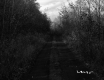 Rural Road in Berlin