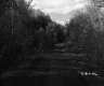 Rural Road in Berlin II