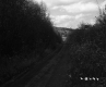 Rural Road in Berlin with Dwelling