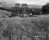 Dwellings and Grassy Meadows on Outskirts of Berlin