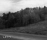 Rural Road in Berlin