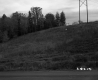 Rural Road in Berlin with Hill
