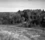 Grassy Spans and Paved Road