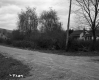 Rural Road with Dwellings