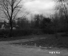 Rural Road with Dwellings