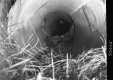 Culvert in Montgomery