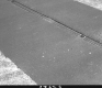 Bridges, Inc. New Expansion Joints