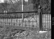 Fence Detail