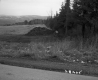 Rural Road in Berlin with Pasture