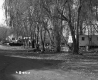View of the Trailer Park in Bennington