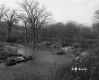 Small River with Riparian Plants in Bennington