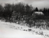 Dwelling In Bennington Obscured by Shrubs