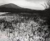 View of Mountain from Field in Bennington