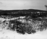 Hilly Landscape with Utility Lines in Bennington