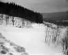 Fence with Hilly and Forested Landscape