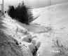 Snowy Gully to the Right of Road