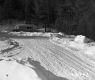 Small Shed off of Driveway