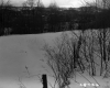 Wire Fence with Snowy Meadow