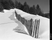 Snow Fence off of VT Route 105