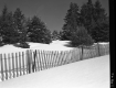 Snow Fence off of VT Route 105