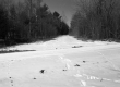 Snowy Clearing in Bennington