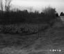 Grassy Landscape in Wallingford