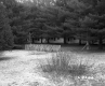 Cabins in Wallingford 