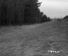 Gulley Between Road and Forest in Wallingford