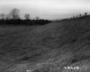 Sloped Decline Leading to Pasture Land