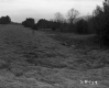 Trough in Gulley Between Route 7 and Forest