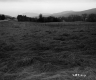 Farm Pasture and US Route 7 in Wallingford