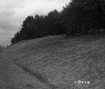 Grassy Landscape in Wallingford