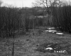 Tanks behind Trees